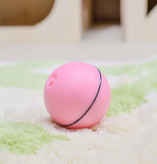 Electronic Rolling Cat Toy Ball – LED Laser Exercise Play