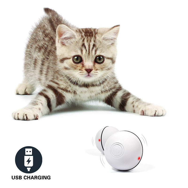 Electronic Rolling Cat Toy Ball – LED Laser Exercise Play