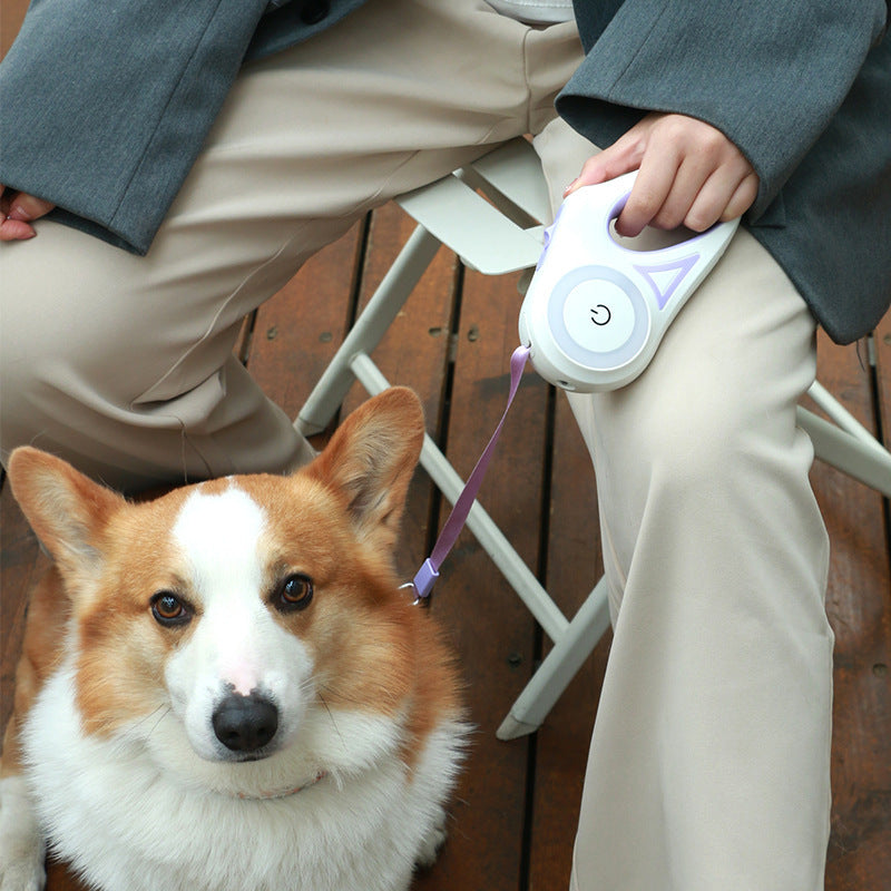 Retractable Dog Leash with Collar – LED Spotlight Rope